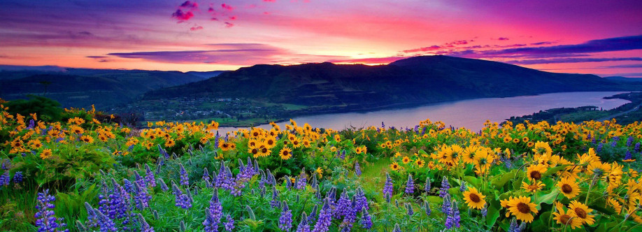 Create Design Cover Image